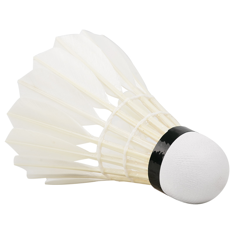 جديد 12 قطعة المهنية الريشة كر - مراجعة Badminton Victor وسعره