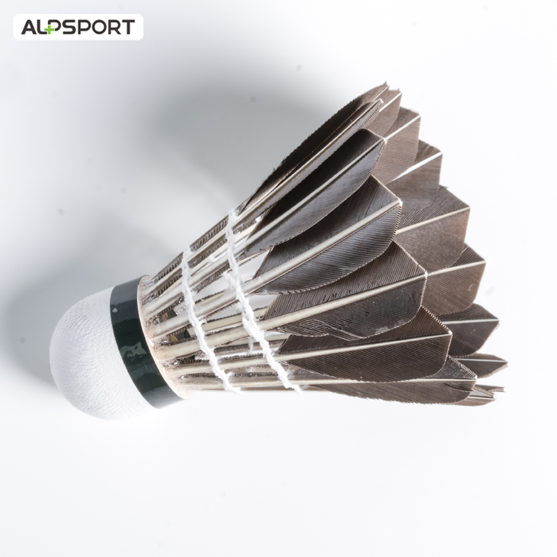 ALP 806 كرات الريشة 12 قطعة كر - مراجعة Badminton Victor وسعره