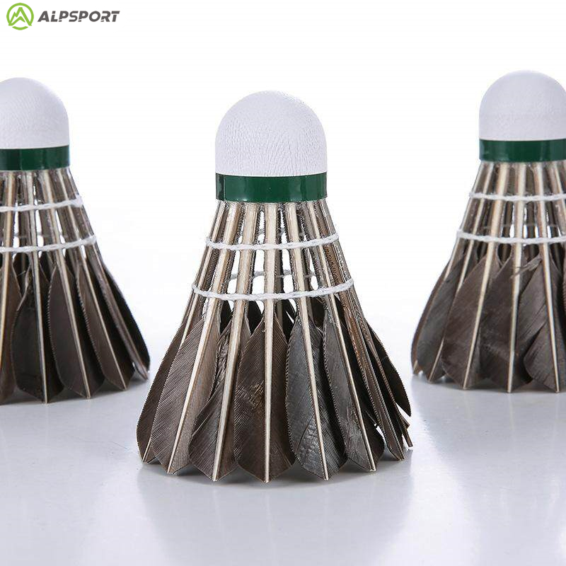 ALP 806 كرات الريشة 12 قطعة كر - مراجعة Badminton Victor وسعره