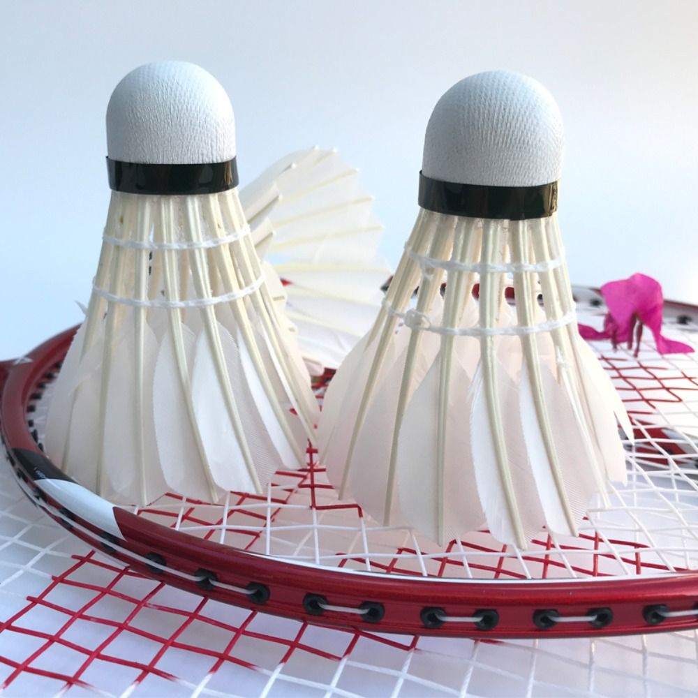 3/6/12 قطعة جديد الأبيض الريشة - مراجعة Badminton Victor وسعره
